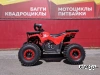 Квадроцикл PROMAX WILD 175 BASIC