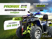 Квадроцикл PROMAX ATV 250 MAX (2025)