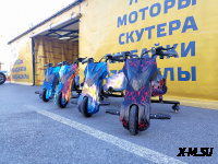 Электроскутер Дрифт Карт Drift-Trike Promax Mi101 красная молния