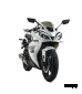 Мотоцикл MOTOLAND (МОТОЛЕНД) R1 300